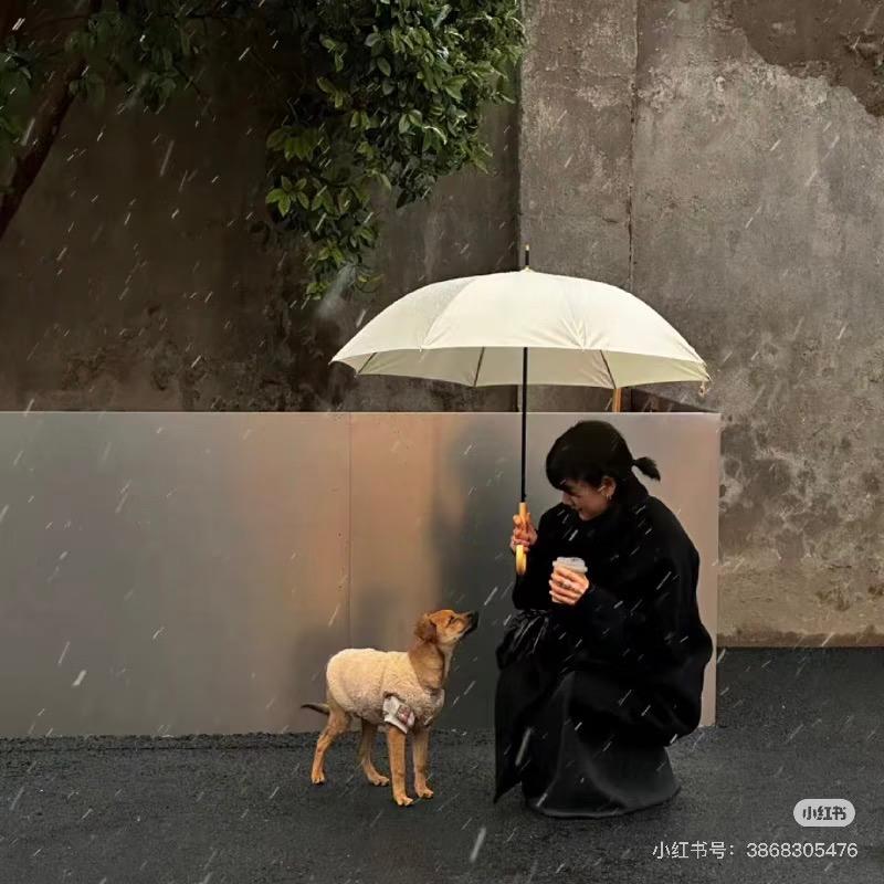 爱哭的玫瑰～′へ`