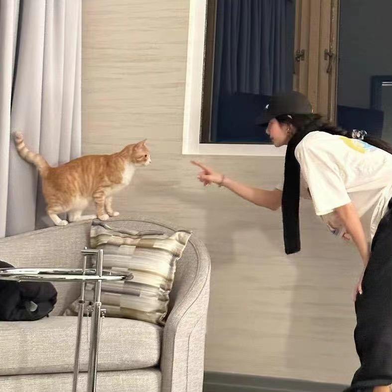 回梨