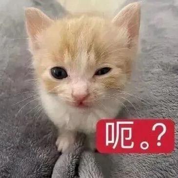 呃。？