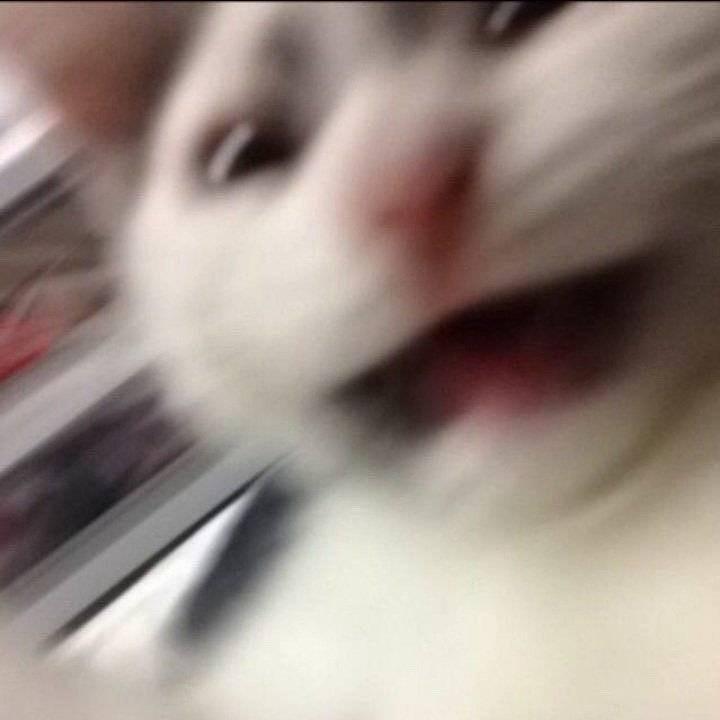 葱_姜_蒜_