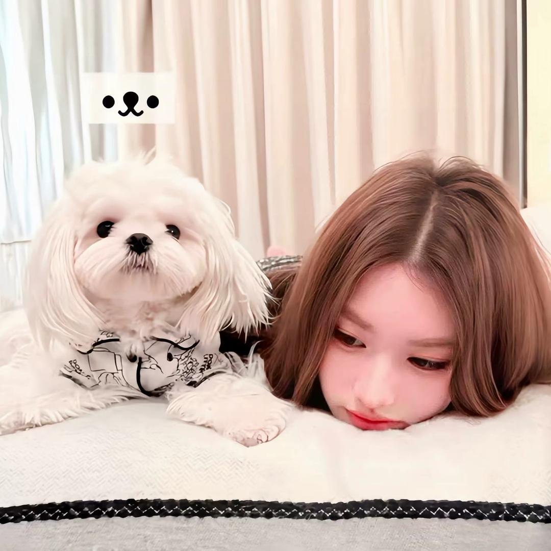 ㅤㅤㅤ       ㅤㅤㅤ