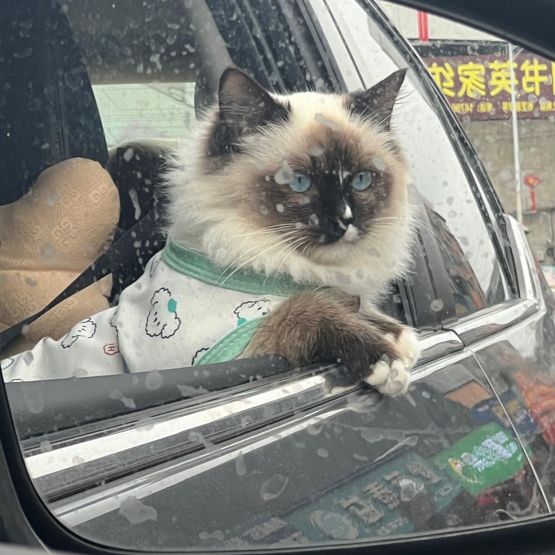 一拳打哭你