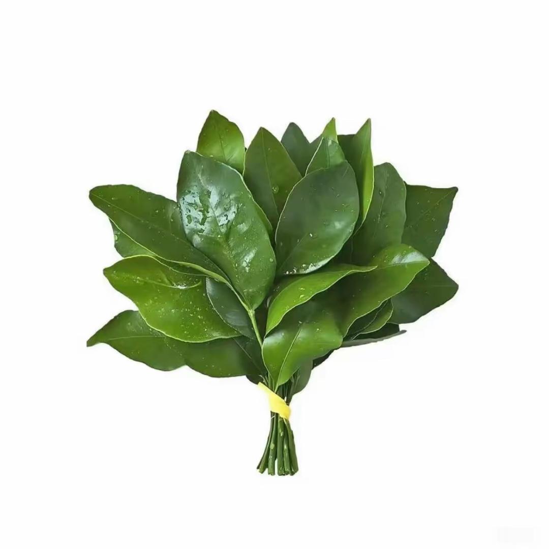 -小卤蛋