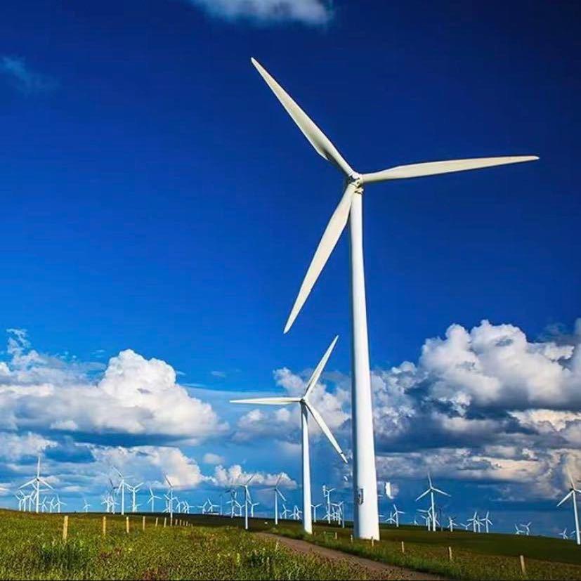 二哥的吃饭日常