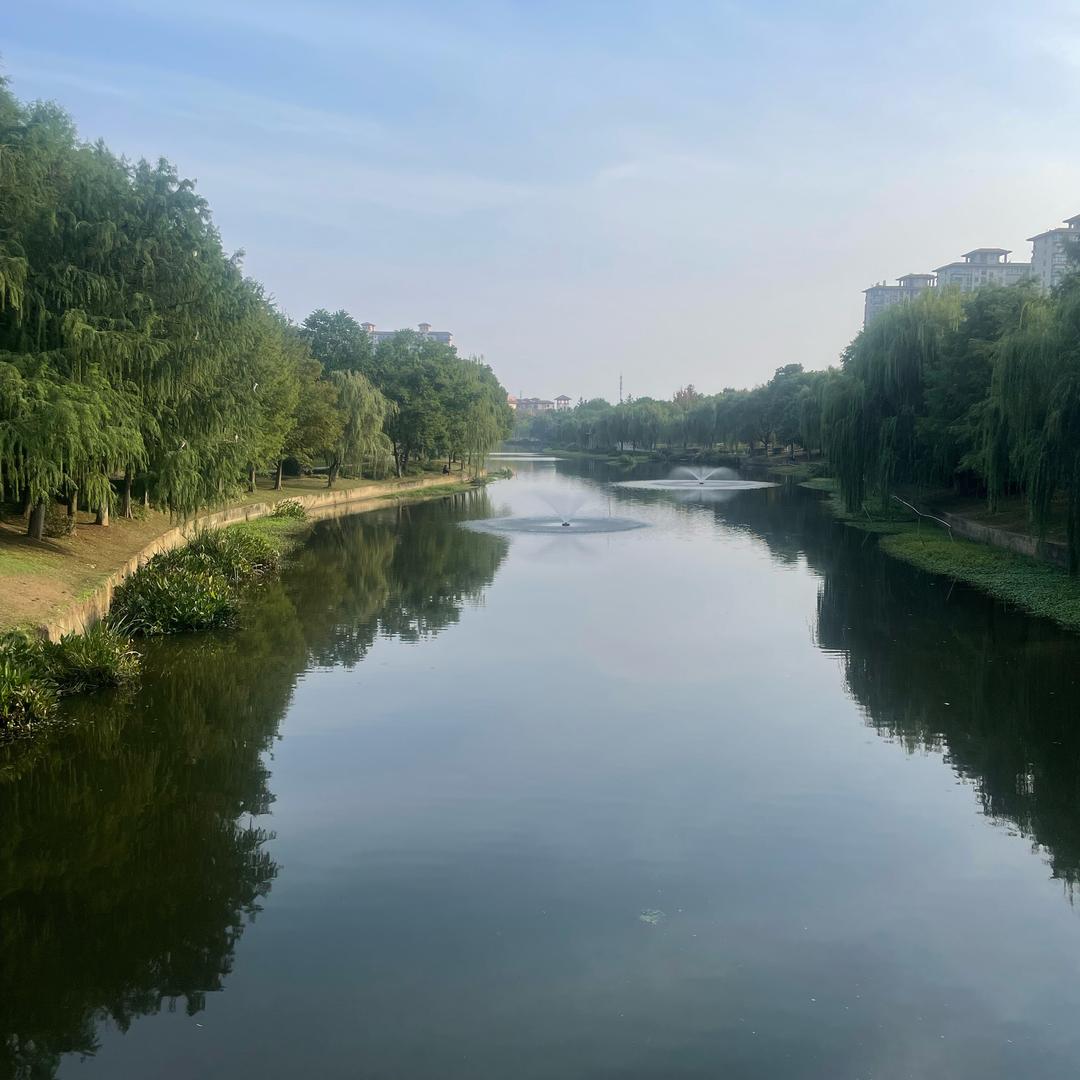 安徽宣城脱温鸡有售