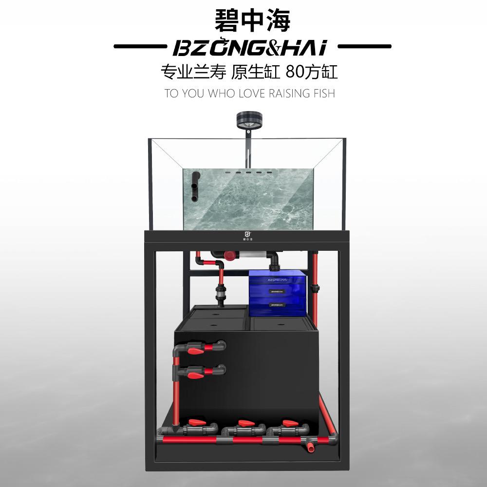 碧中海水族厂家