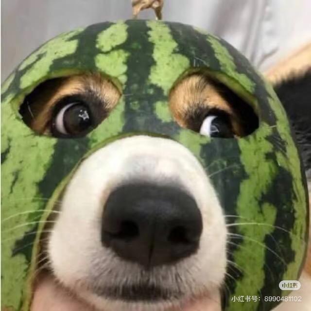 睡不醒的糊涂鬼.