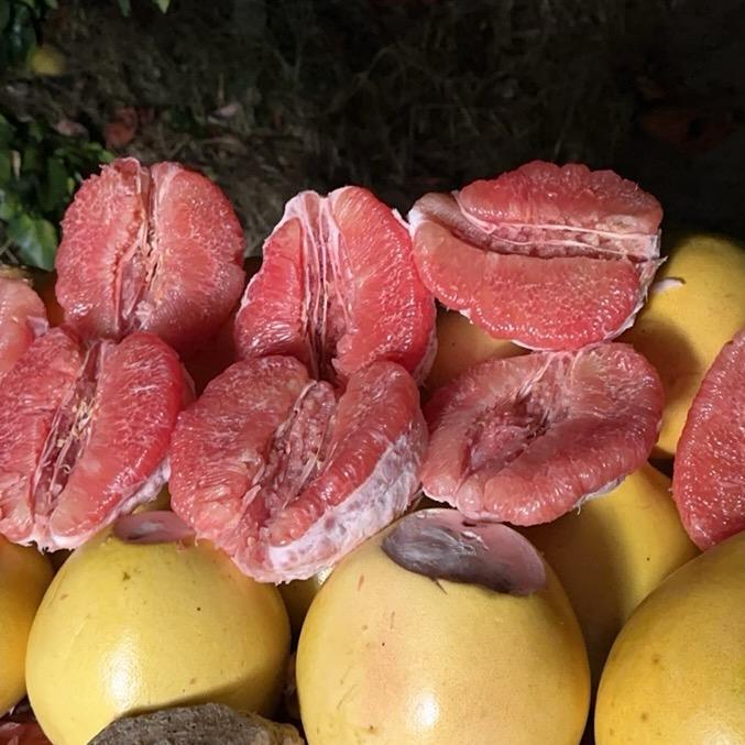 三佬（福建红心蜜柚）