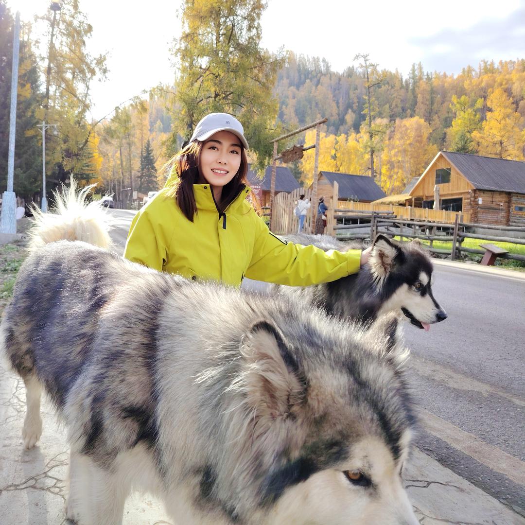 小宇宙……………………………..