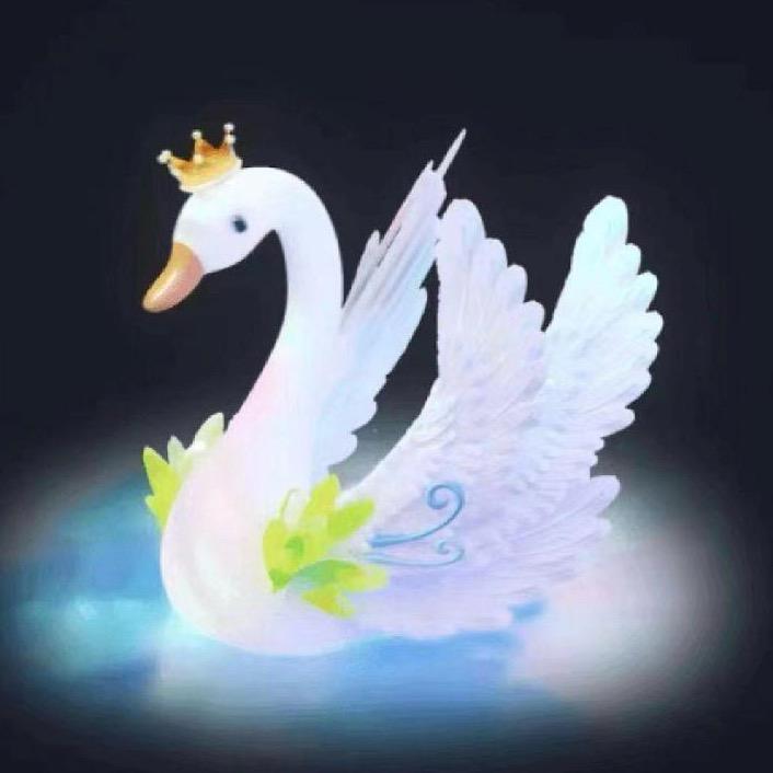 水哥来了