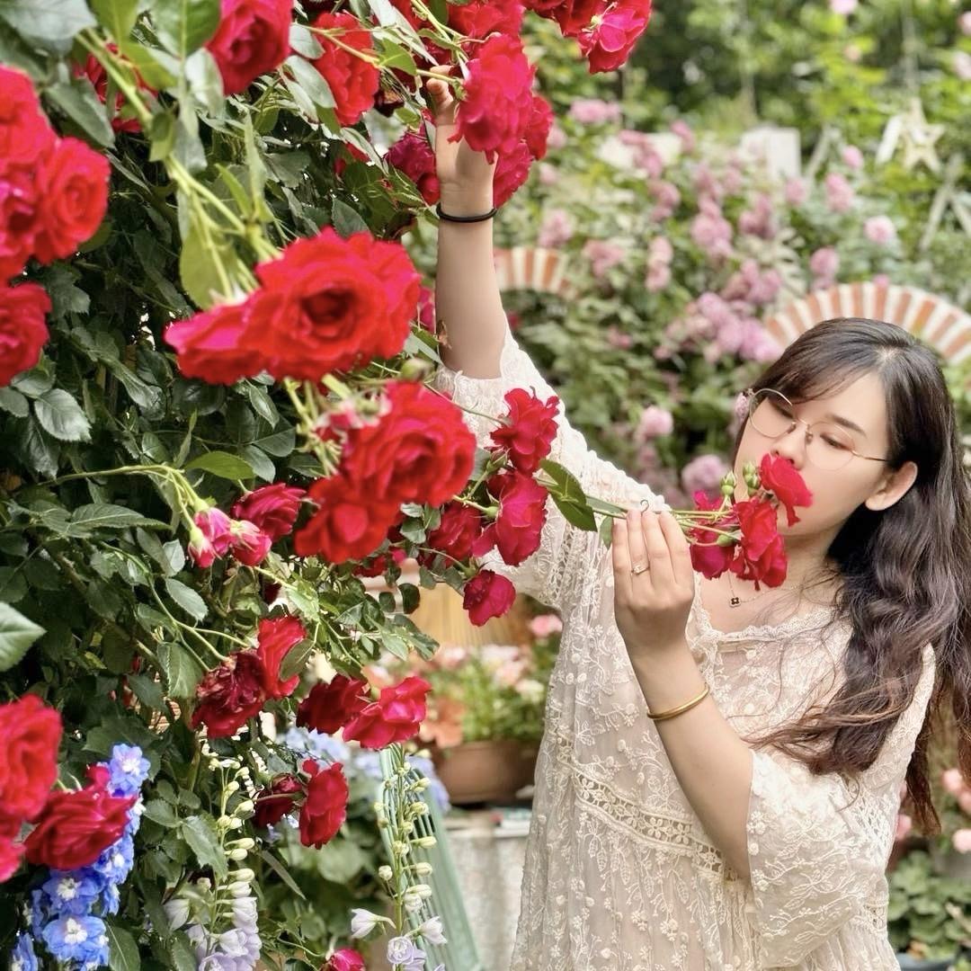 小路花园