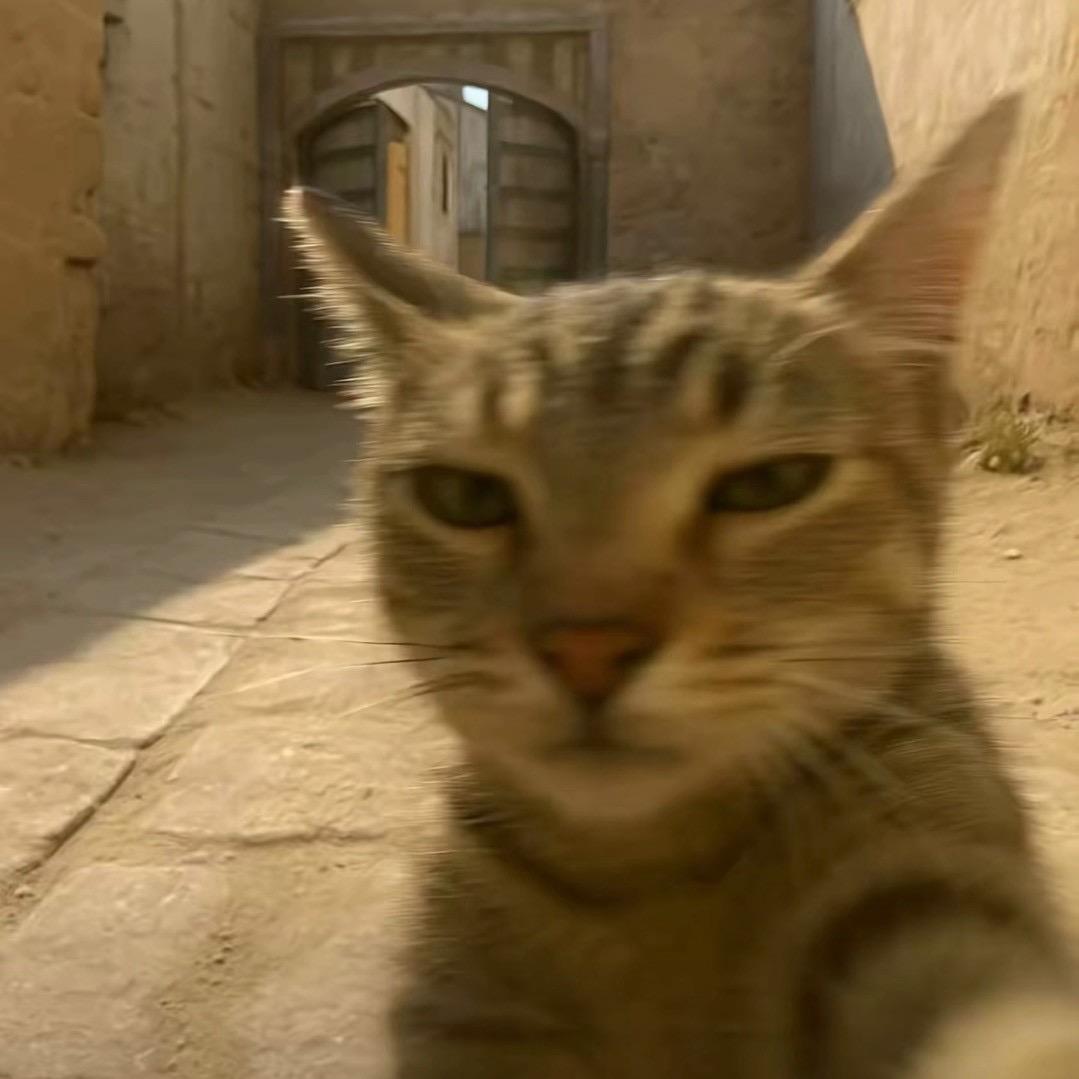 ꪔ̤̥ꪔ̤̮ꪔ̤调色板