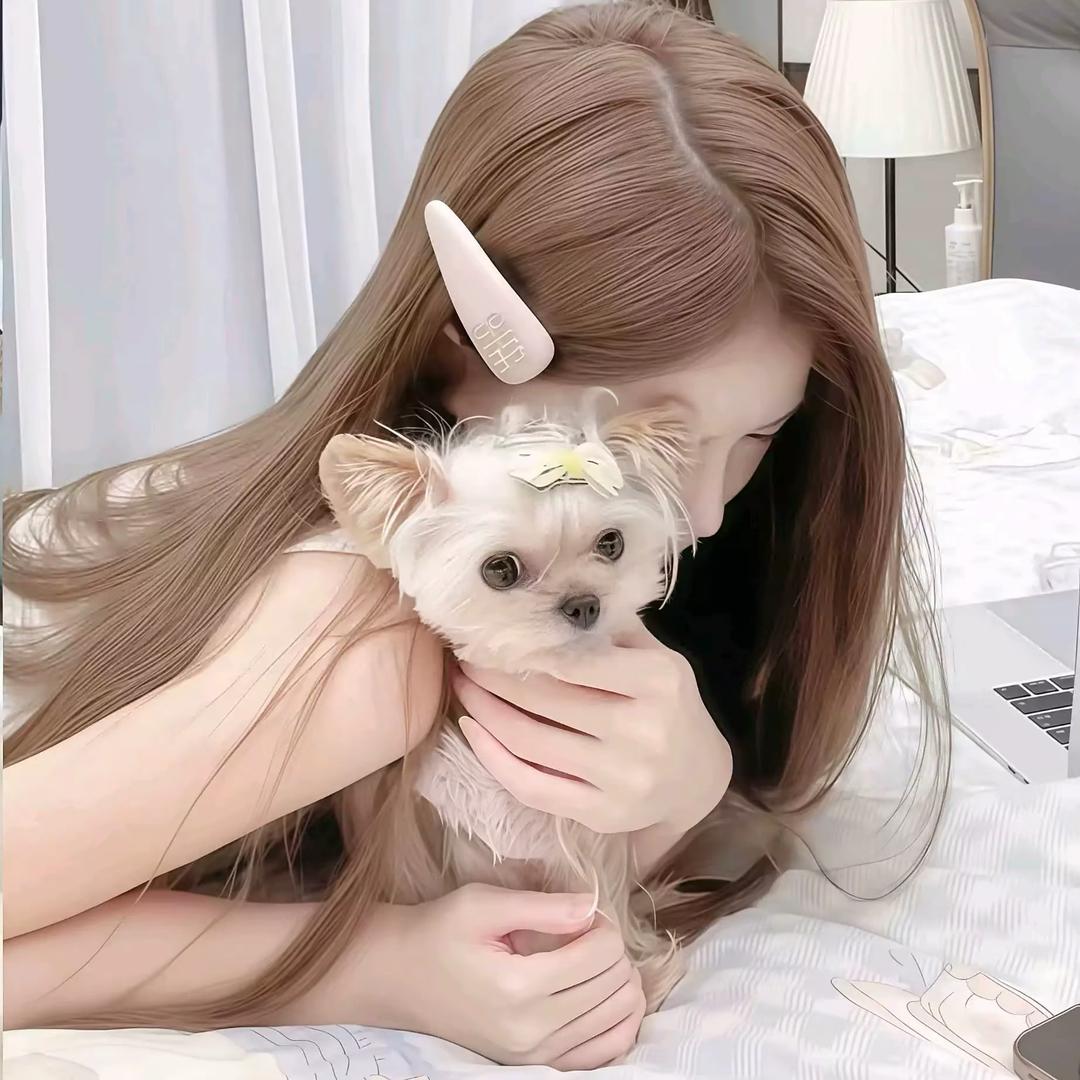 六六