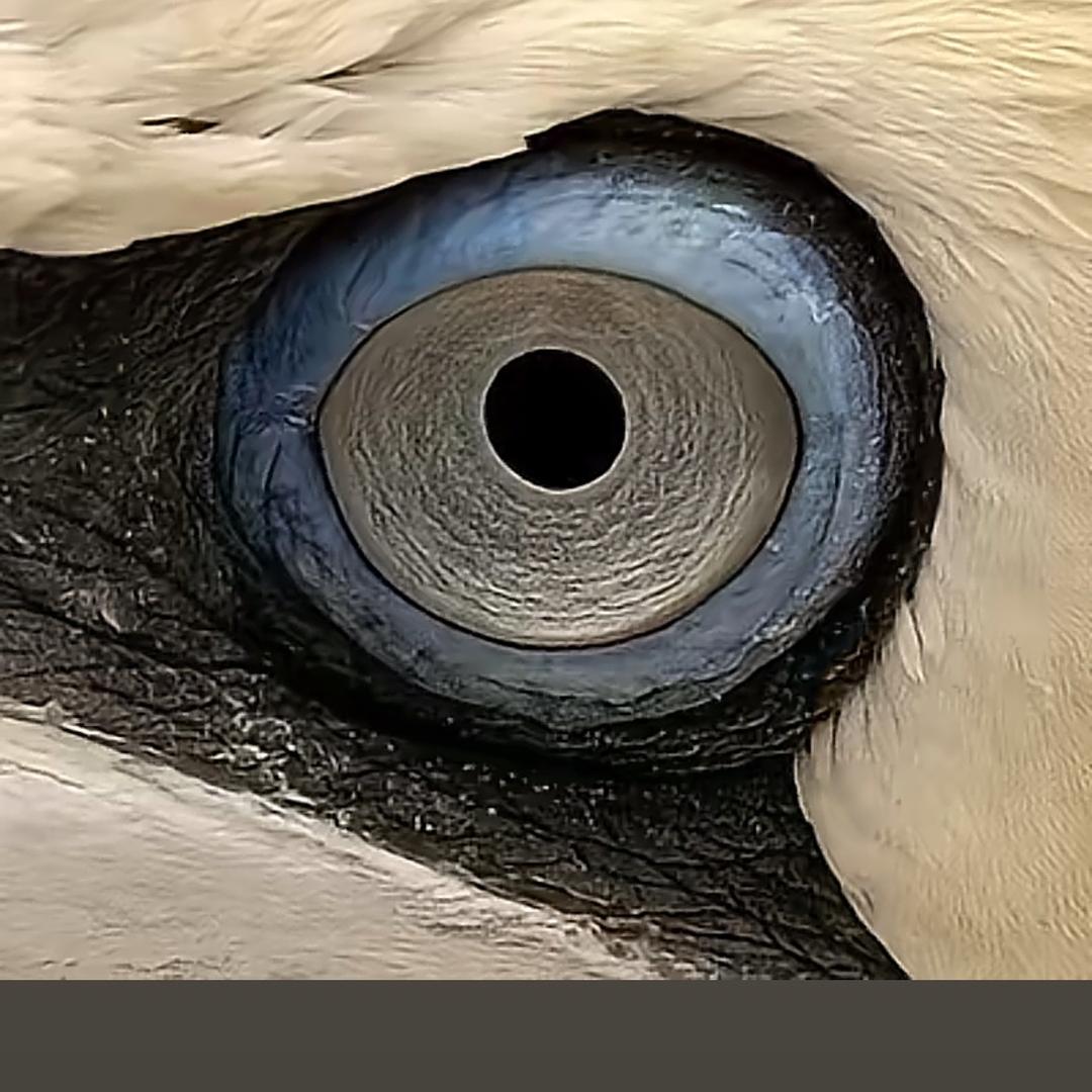 三🪨