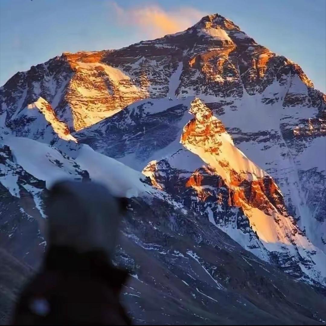 8 올레YAN（1120久）