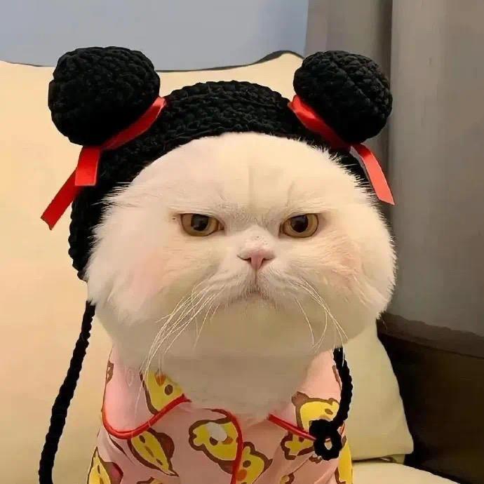 鼎丰