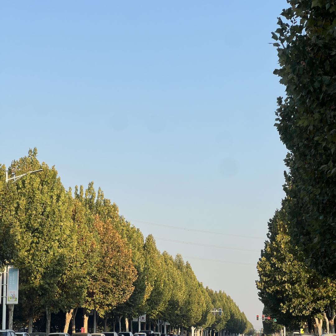 河南省蓝松信息咨询