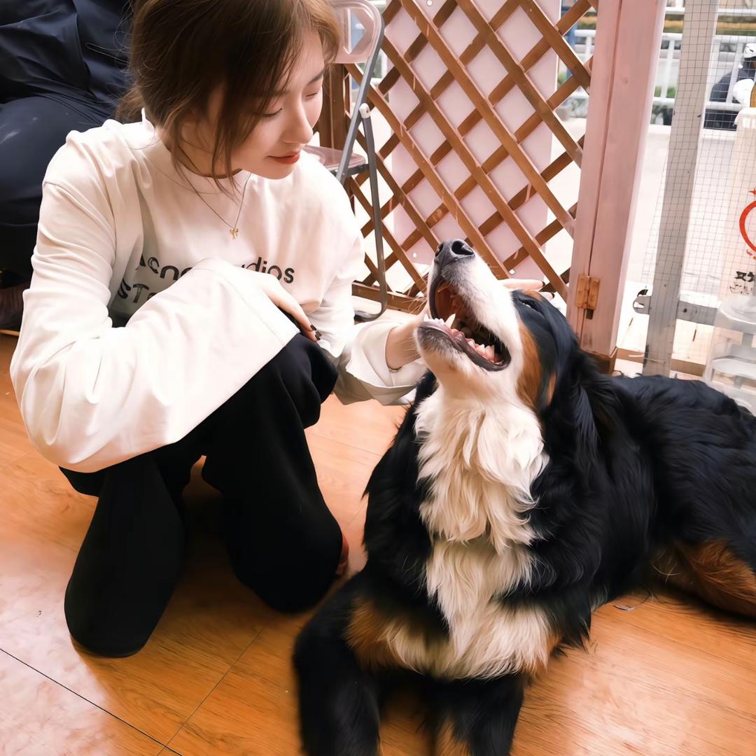 好运滚滚来之我爱吃面