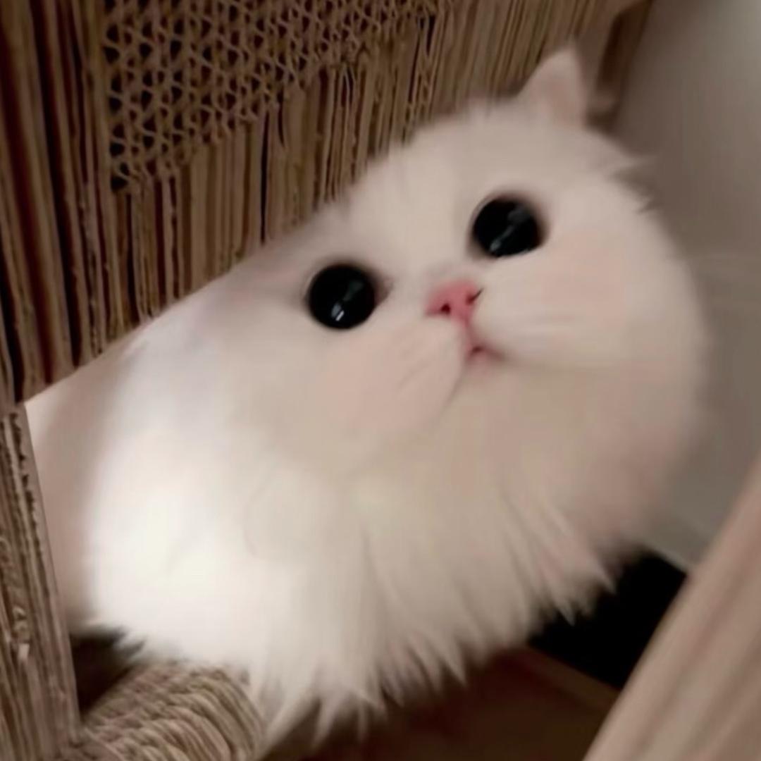 ￴ ￴￴ ￴￴￴ ￴