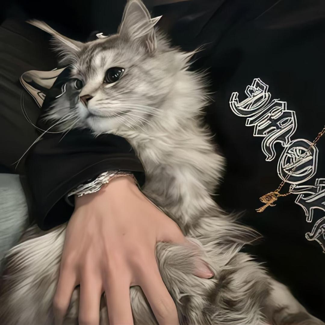 开心