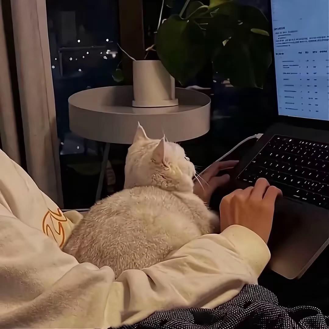 猫咪不吃鱼&
