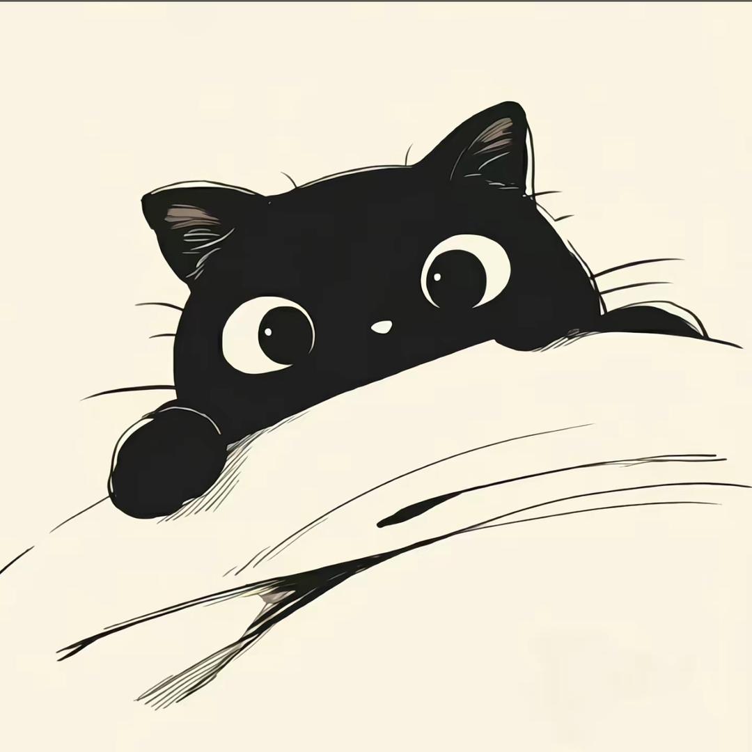 zz.