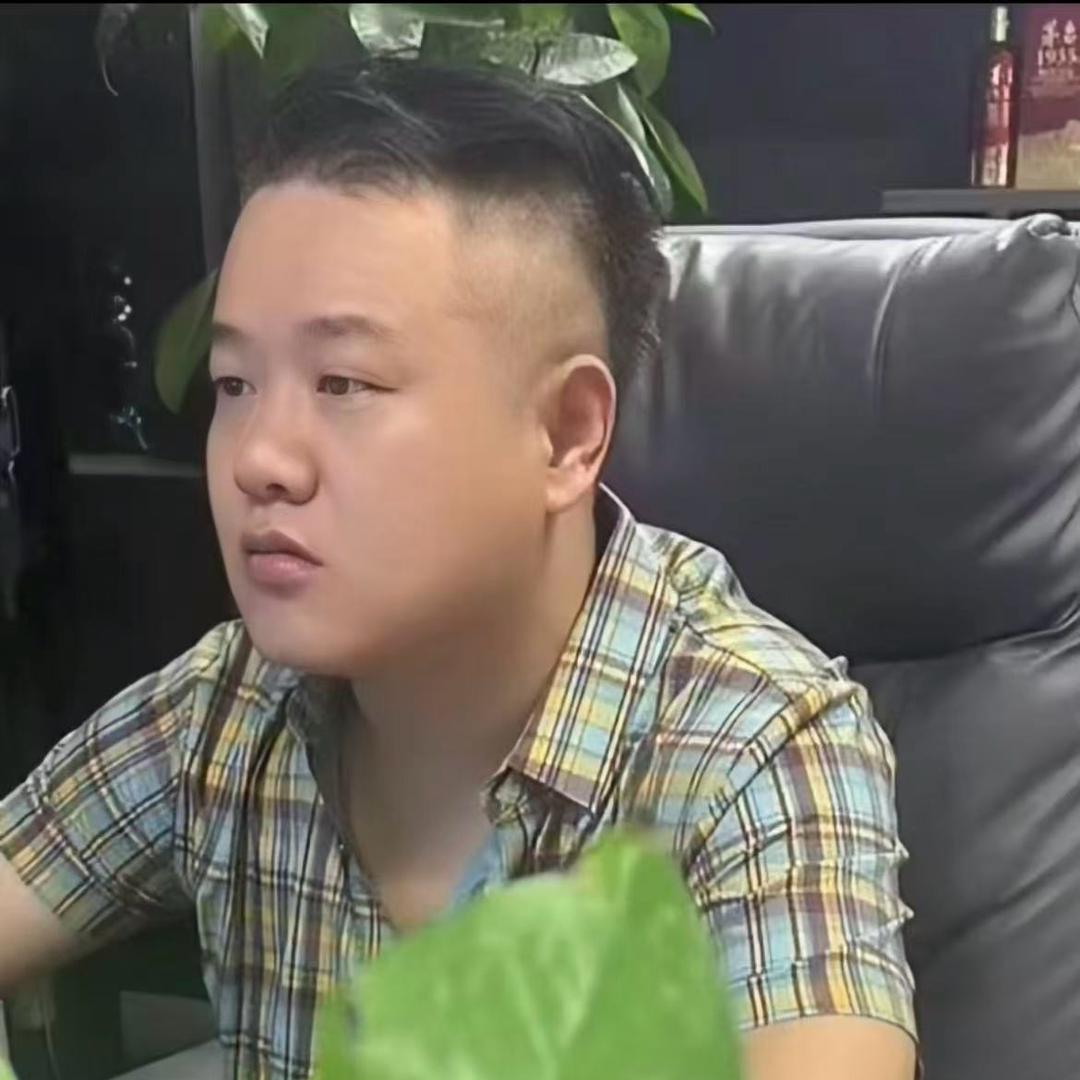 袁总（破局重生）