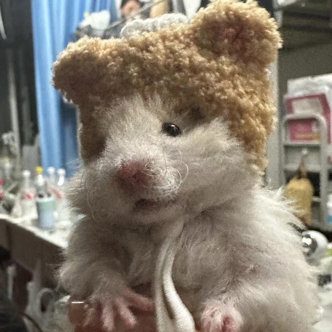 ✨