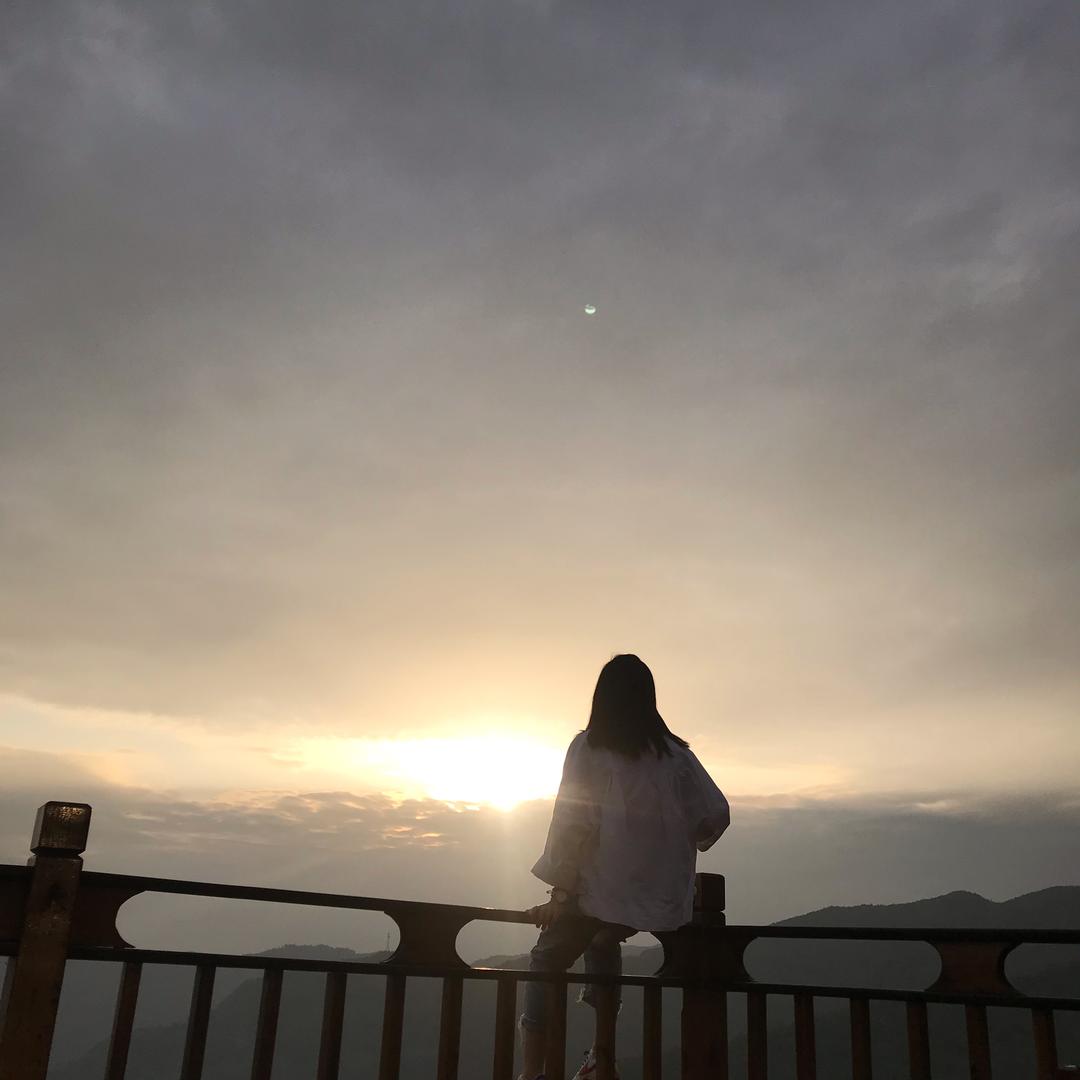汪汪