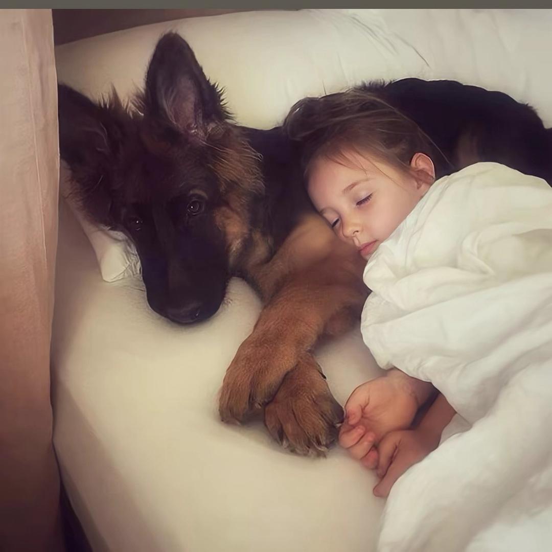 整容后crush成了恋丑癖