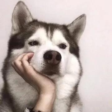 不再平凡
