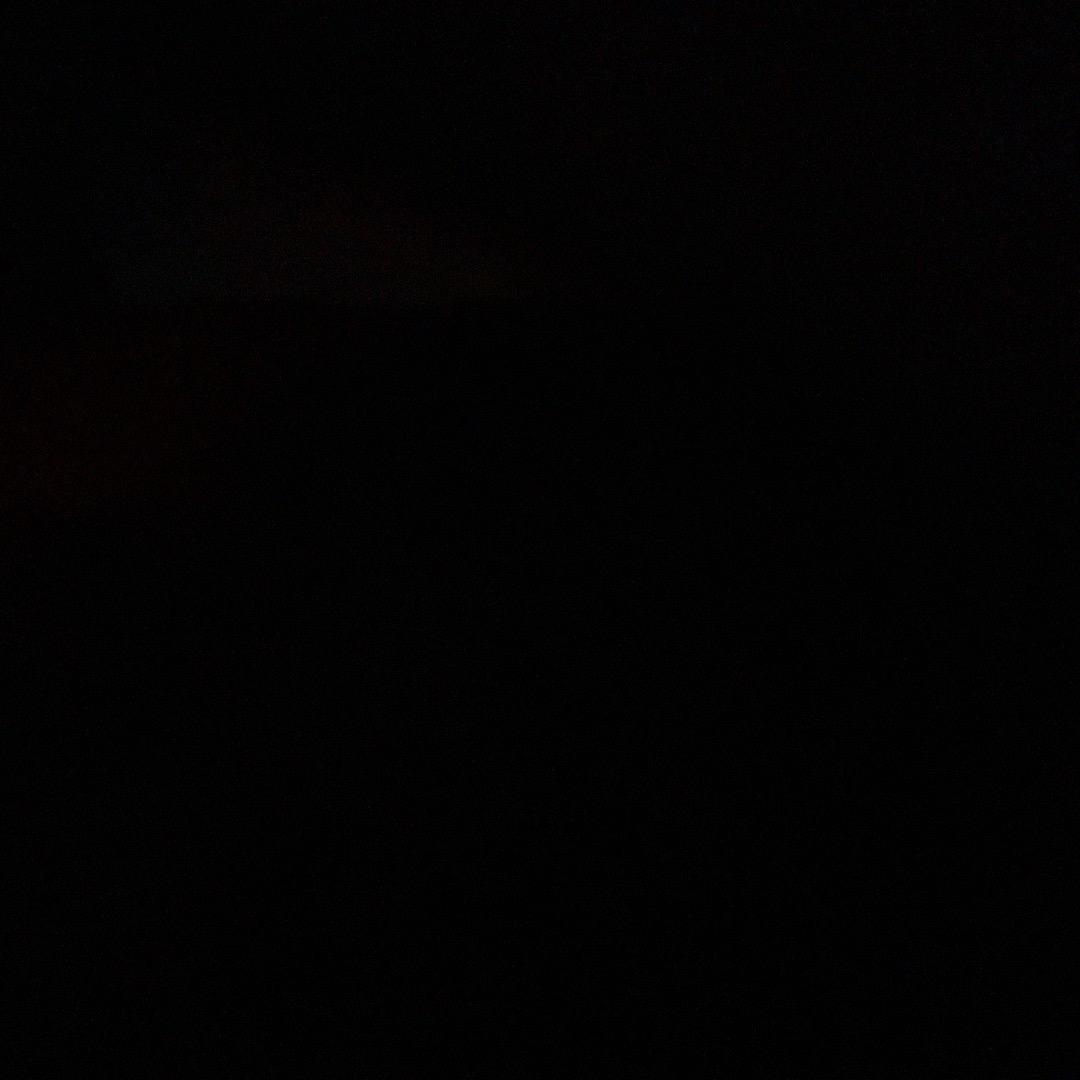 打不死的小强
