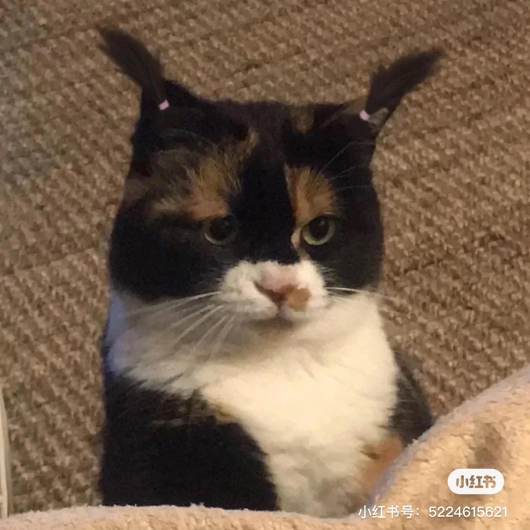 看到我在线请提醒我去学习