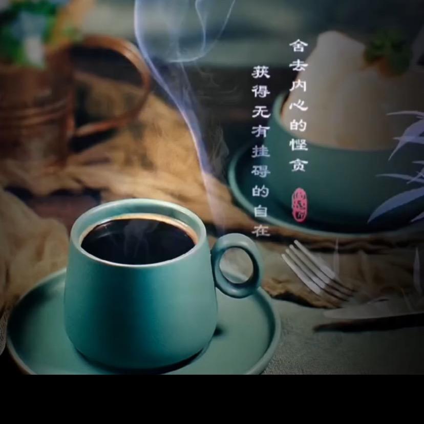 有效粉丝 来了