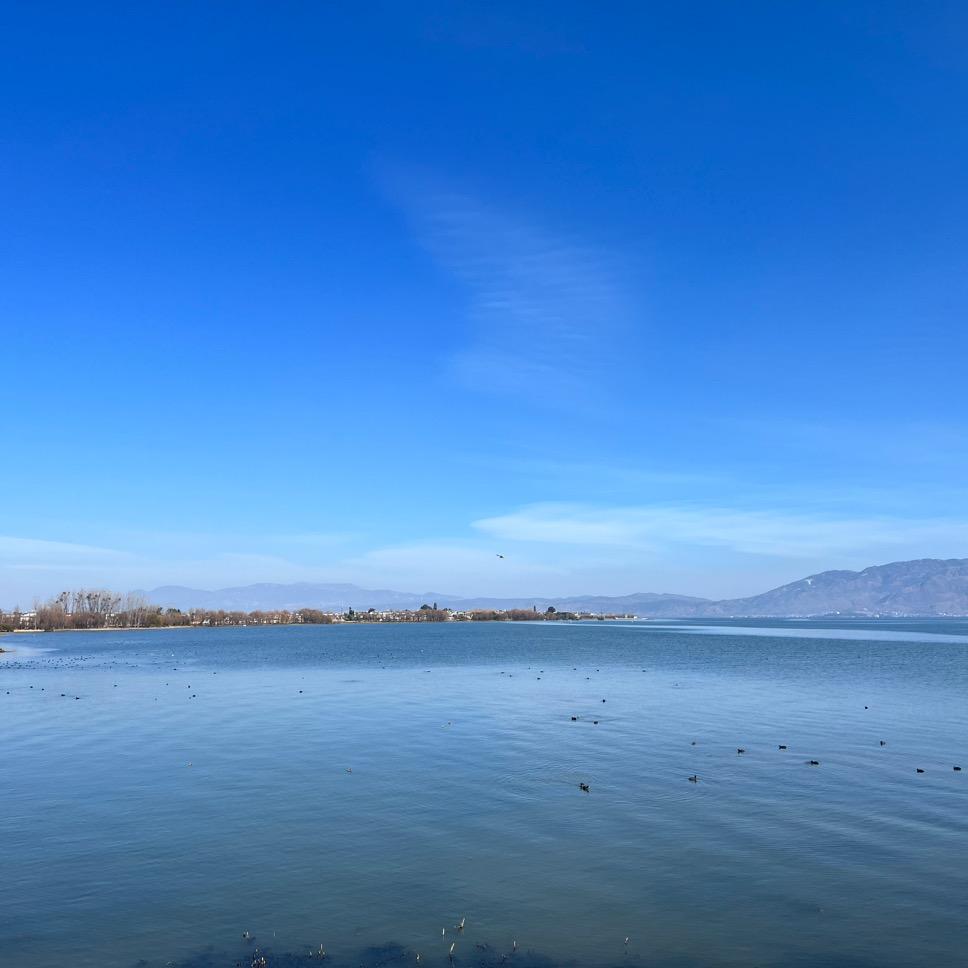 库奇汽车（成都AG车牌）