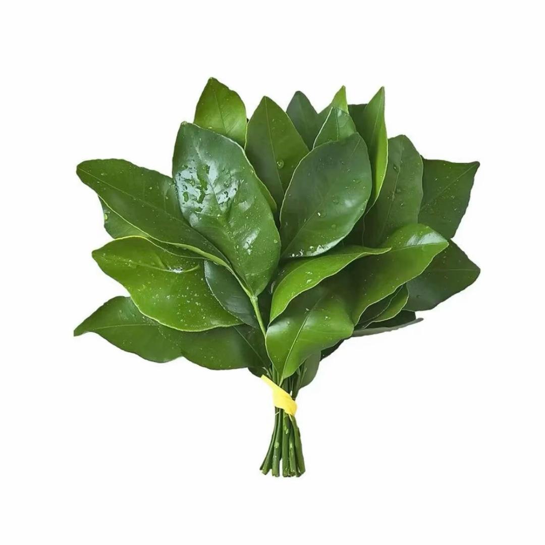 貳