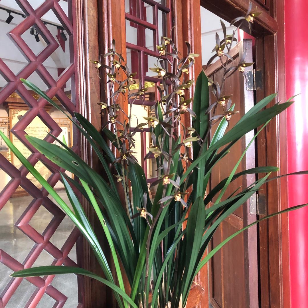 小美助农