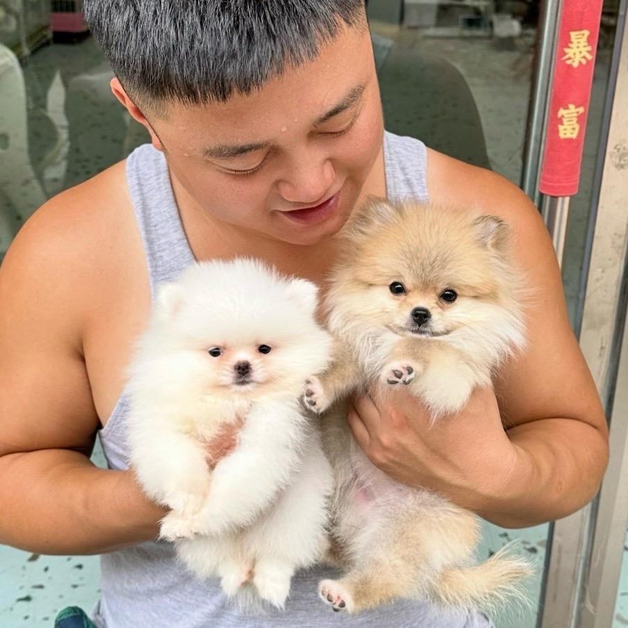 犬经记