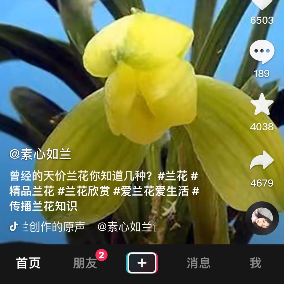 往事清零