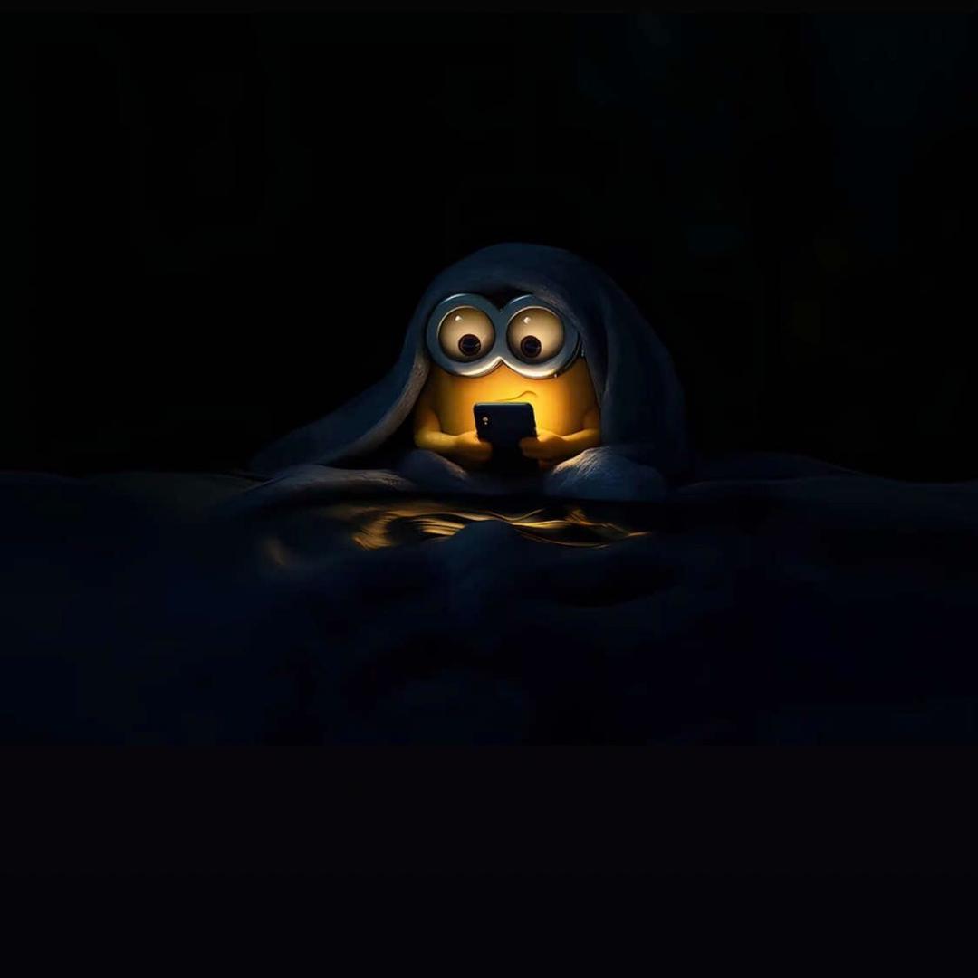 茧