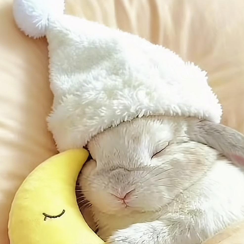 𝒵𝒽ℯ𝓃ℊ ᥫᩣ蝶🦋