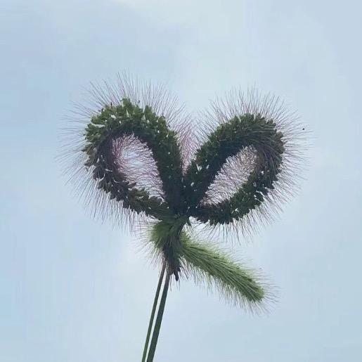 铺瓷砖的🔥鹏哥