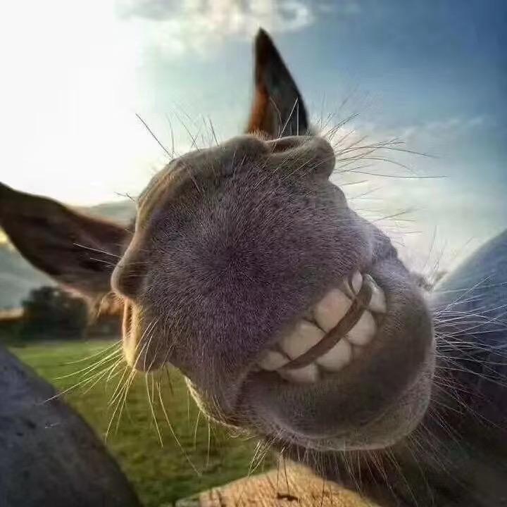 147