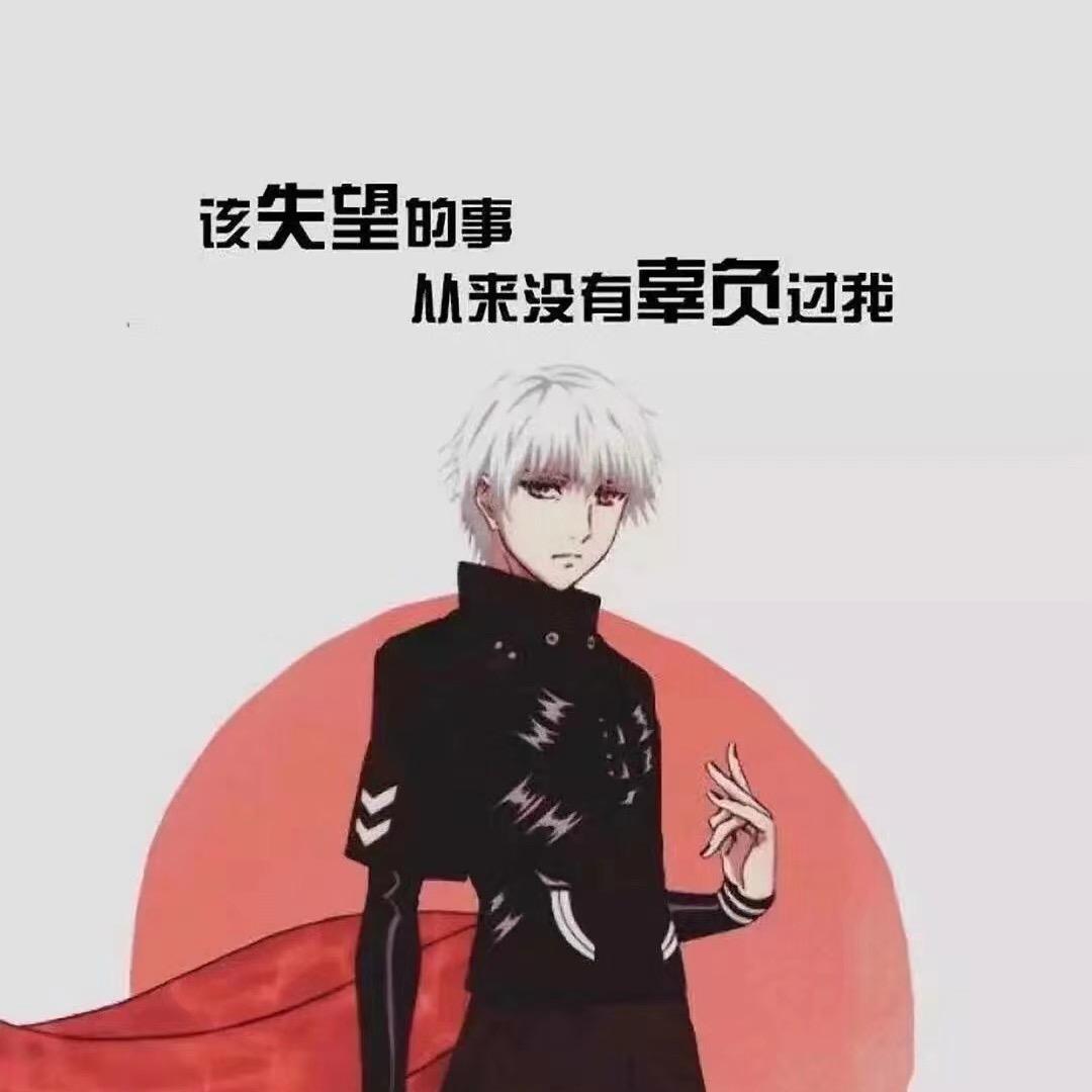 A. 坚果DAYTOY xz （禁止连赞