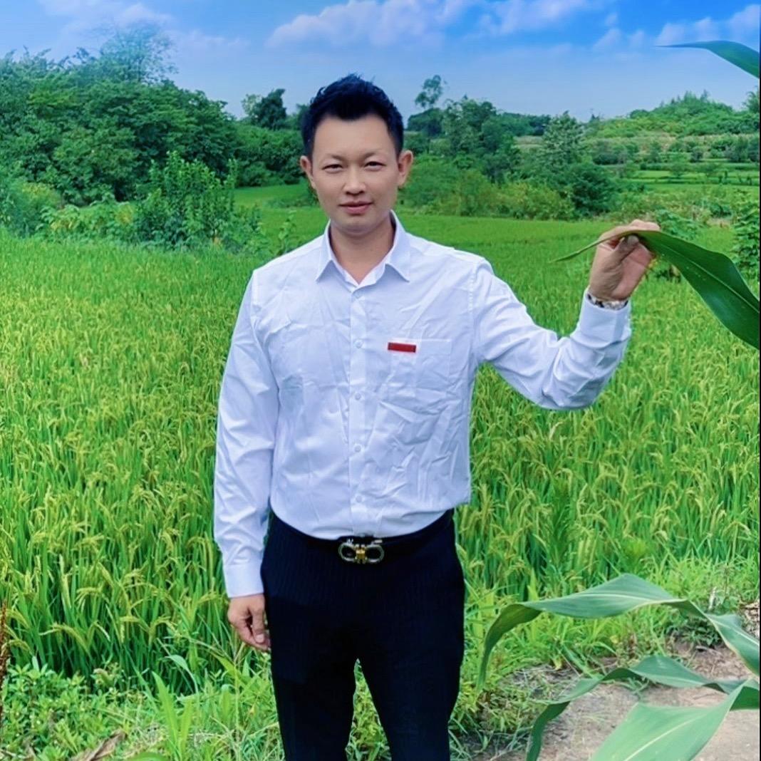 重庆马儿跑💪