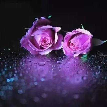 古今总店  晔晔