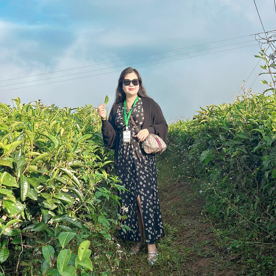 藏有引力(金樽巷店)