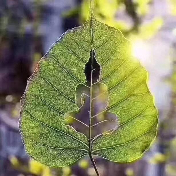 Yल闫瑾