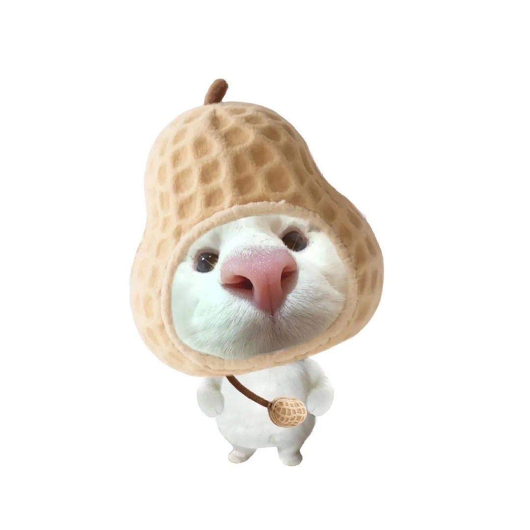 。。