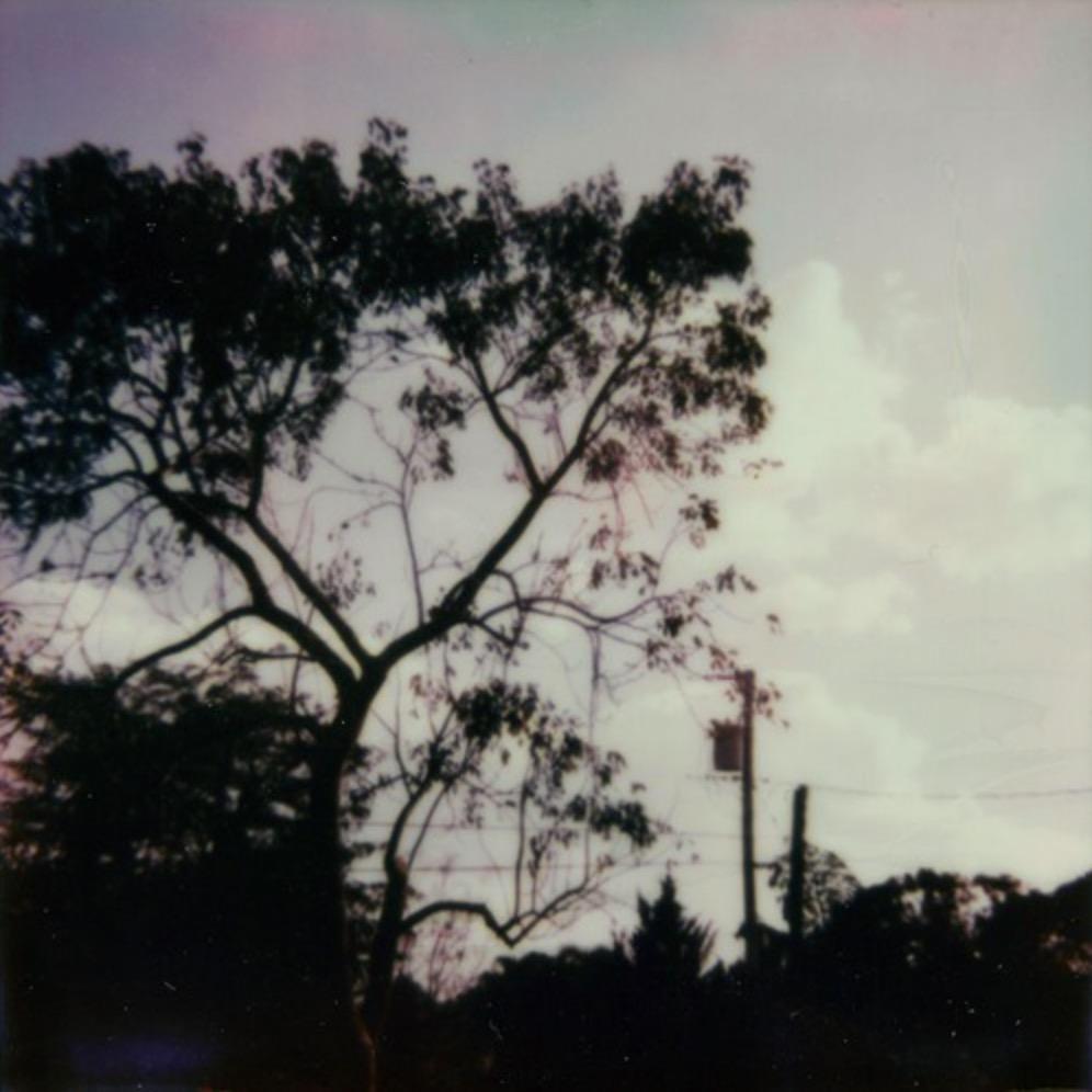 AKA——丹